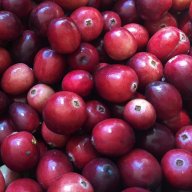 cranberry