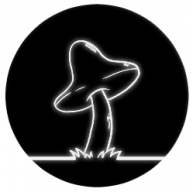 Mycelian Studios