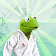 kermit4karate