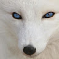 Avenging Kitsune