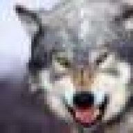 Greywolfe