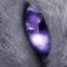 DShadowKat