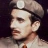 The Brigadier