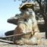 Cap'n_Groundhog