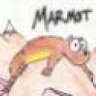 Marmot