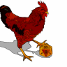 Quantum Rooster