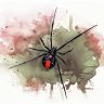 SpiderLily