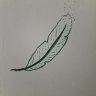 Time_Feather