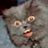 Meowzebub