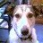 Sundog