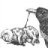 Carrion Caller