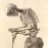 Anatomist