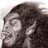 Snarls-at-Fleas