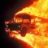 TheOmnibusDriver