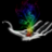 RainbowRocket