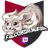 Falcordragon