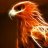 SiberianPhoenix