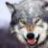 Greywolfe