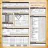 Ema's Forgotten Realms 3.5 Character Sheet