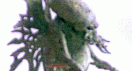 cthul3.gif