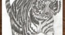 valtiger web.jpg