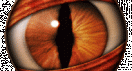 eye.gif