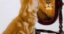 catself.jpg