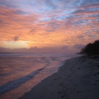 Xmas-Beach.jpg
