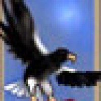 eagle5.jpg