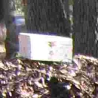 Treasure Chest.jpg