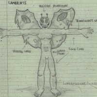 Lambients.JPG