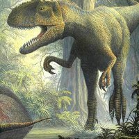 allosaurus.jpg
