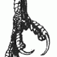 claw tattoo.GIF