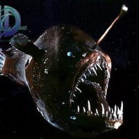 l006_jpg[1].jpg