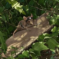 Mouse Druid.jpg