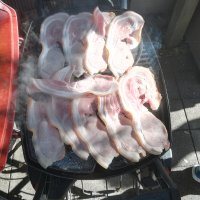 IMG_20221225_084744.jpg