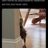FB_IMG_1676049094660.jpg