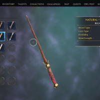 Hogwarts Legacy (5).png