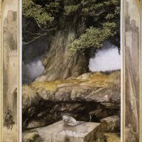 sanctuary-forest=unknown.jpg