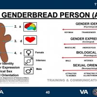 genderbread person.jpg