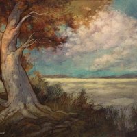 trees=rebecca-guay(plains).jpg
