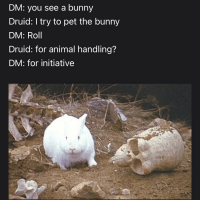 1681721764984.png