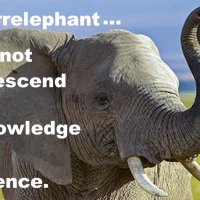 Irrelephant.jpg