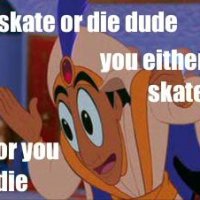 skate or die.jpg