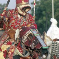 Hausa Knight.jpg