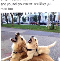 1690838635834.png