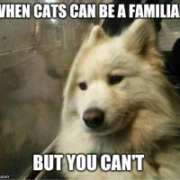 1690839058222.png
