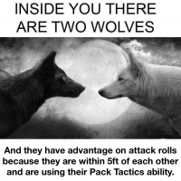 1690839227402.png