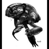 frog.jpg