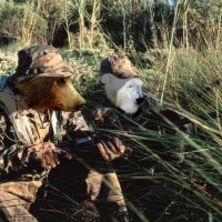 bearhunt.JPG